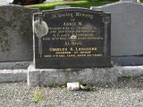 image of grave number 235007